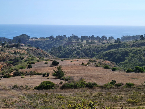 Imagen 5 de 25 de Parcelas De 5.000 Con/sin Vista Mar En Condominio Algarrobo