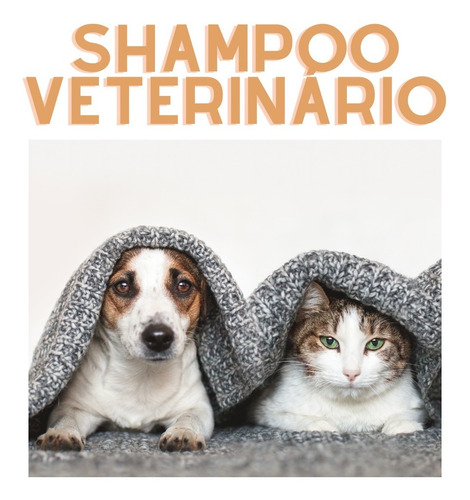 Shampoo Pet Cetoconazol  Clorexidine(2%e 20%)500ml Cães Gato