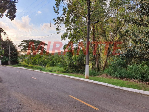 Imagem 2 de 9 de Terreno Em Serra Da Cantareira - São Paulo, Sp - 315466