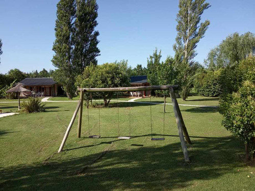 Otro En Venta En Tomas Jofre