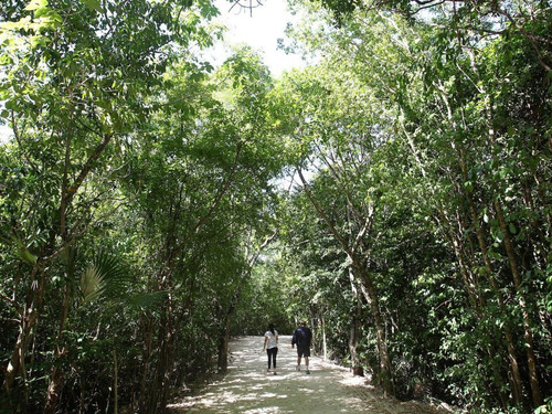 Venta De Terreno En Quintana Roo