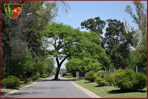 Imagen 28 de 30 de Brisas De Adrogué - Casa A Estrenar
