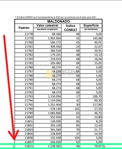 Imagen 3 de 20 de Venta De Campo De 80 Hectáreas Sobre Ruta 39