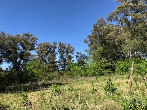 Imagen 2 de 12 de Terreno En Venta En San Antonio De Areco