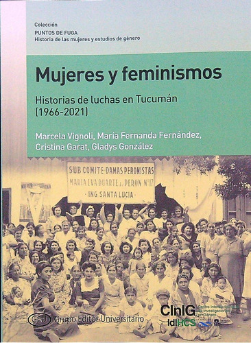 Mujeres Y Feminismos - Historias De Luchas En Tucuman (1966-