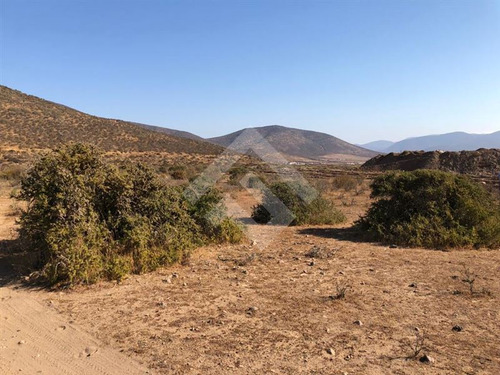 Agrícola En Venta En Andacollo