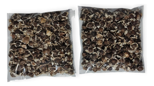 Semilla De Moringa 400 Pz. Orgánica, 2 Pak