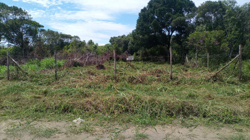 Terreno Em Balneario Barra Do Sul 