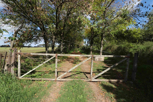 Imagen 4 de 25 de Venta Campo 83,3 Hectareas Agrícolas En Lima