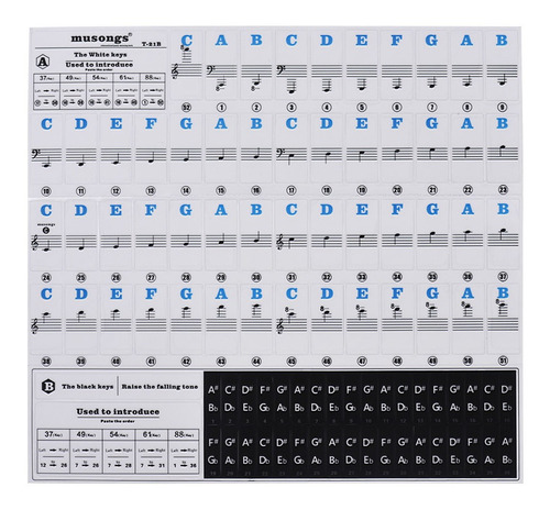 Pegatinas De Piano Para Teclados 37/49/54/61/88, Notas Music