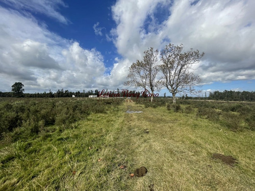 Imagen 3 de 10 de Venta Chacra 7 Has Sobre Ruta 9, A 18 Kms De Punta Del Este