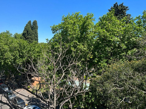 Imagen 5 de 16 de Departamento - Acassuso