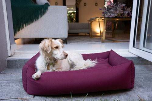 Cama Perro Gato Pet2go® Fresca Verano Calor - Fresh 75x55cm Color Gris