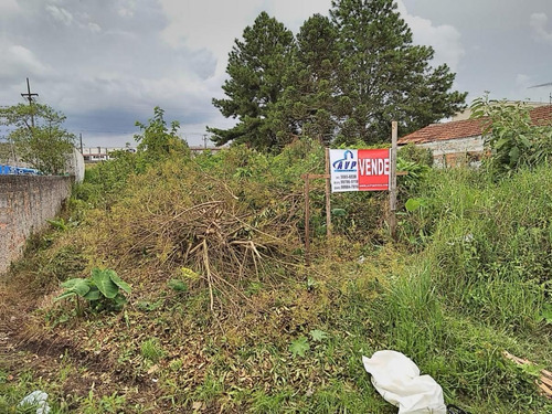 Imagem 2 de 8 de Terreno Para Venda Em São José Dos Pinhais, Bairro Martins - 3305_1-1737167