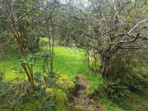 Oportunidad! Parcela Con Frutales, Vista Volcán Y Riachuelo