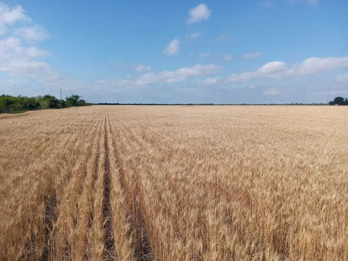Imagen 7 de 11 de Vendo Campo En La Paz Entre Ríos