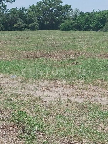 Venta De Terreno En Ex-hacienda El Jobo En Tampico Alto