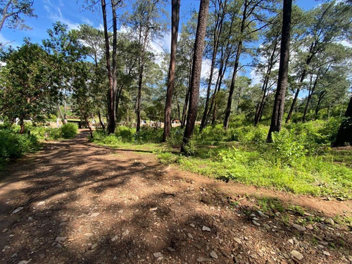 Imagen 10 de 11 de Terreno En Venta En San Gabriel Ixtla, Valle De Bravo