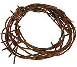 Nicky Bigs Novelties 8 Pies Fake Rusted Barbed Wire Xhfhj