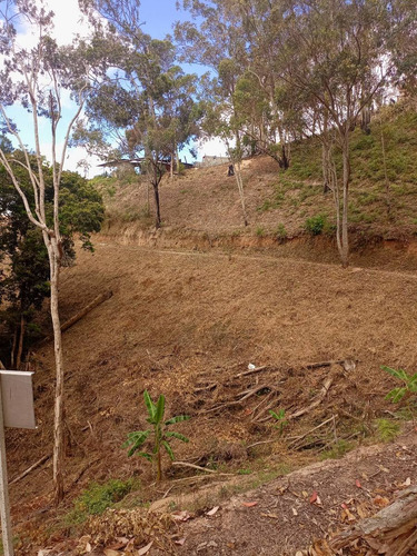 Imagen 12 de 13 de Best House Vende Increíble Terreno En Loma De Urquía En Los Altos Mirandinos