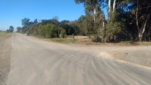 Imagen 5 de 7 de Galpon En Venta En Olivera
