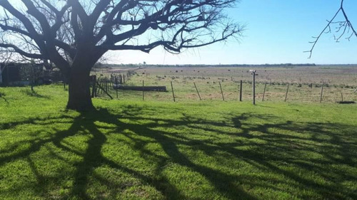 Imagen 10 de 30 de Venta - Campo En Cardales - Bayugar Negocios Inmobiliarios