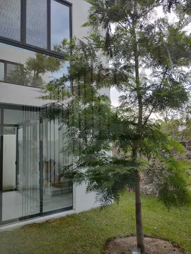 Casa En Venta En Real De Oaxtepec