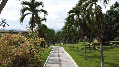 Venta De Quinta En Las Morochas. San Diego 15000 M2. G.g