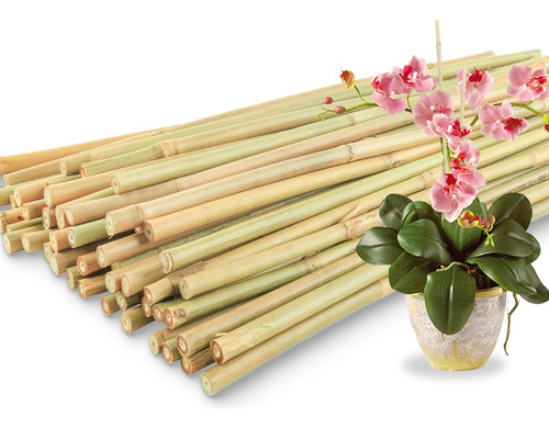 50 Estacas De Bambú Para Plantas De Interior Y Exterior, Pal