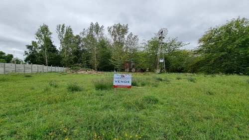 Imagen 3 de 5 de Lote
