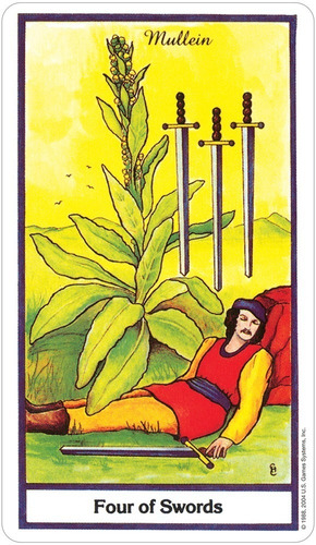 The Herbal Tarot - Original Importado