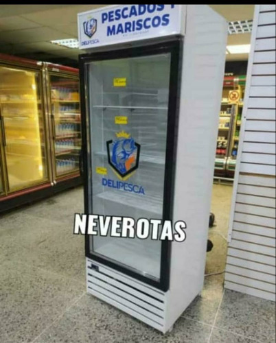 Nevera Exhibidora Para Congelación -18grados (Reacondicionado)