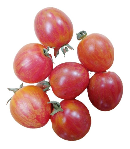 Semillas Tomate Cherry Zebra Rojo Prosperidad
