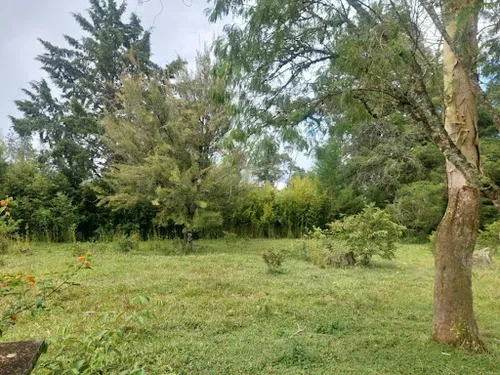 Lotes En Venta Llanogrande 743-7717