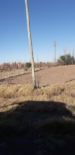 Imagen 6 de 7 de Vendo Lote Cuadro Benegas San Rafael Mendoza