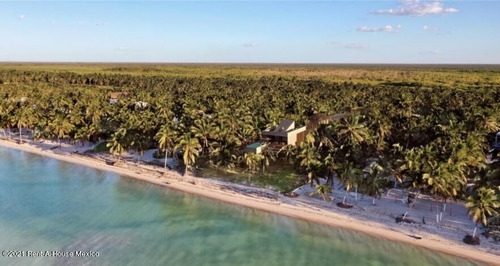 Imagen 1 de 11 de Terreno De Playa En Venta Motul-techac Puerto Yucatan Mt 22-1259