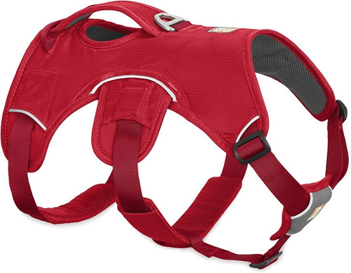 Arnes Web Master, Soporte Para Perros