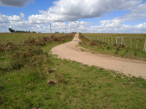 Campo De 140 Hectáreas Con Costa De Arroyo