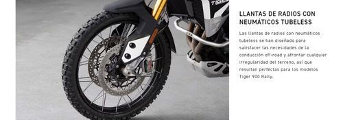 Imagen 20 de 24 de Triumph Tiger Rally Pro 900