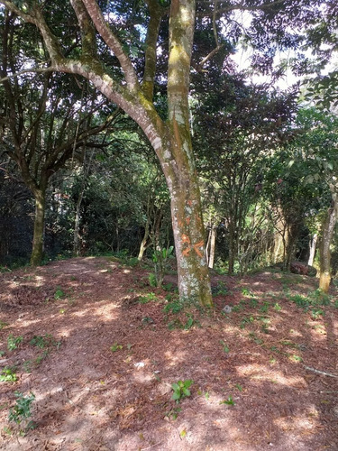 Imagem 6 de 11 de Chácara Para Venda Ou Locação Em Mogi Das Cruzes (sabaúna)