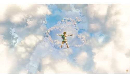 The Legend Of Zelda Breath Of The Wild Edición Estándar Swit