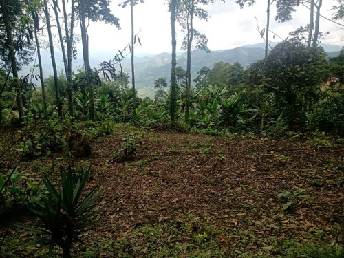 Imagen 11 de 16 de Ganga Terreno Campestre De 5.848 Metros