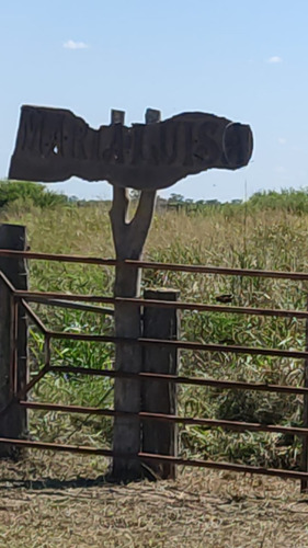 Campo Mixto De 784 Ha En Fernandez, Santiago Del Estero