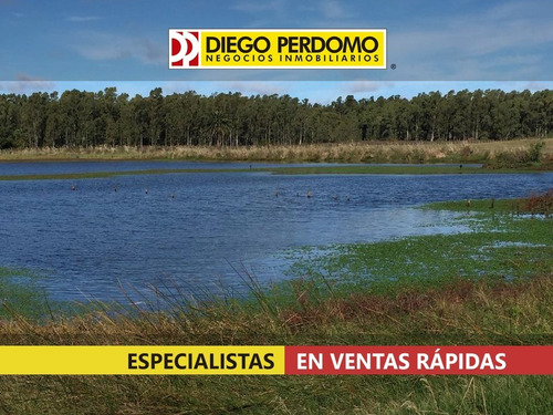 Campo En Venta, San José Sur