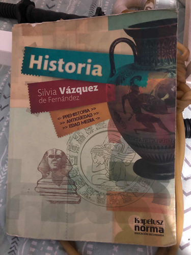 Historia De Silvia Vázquez De Fernández