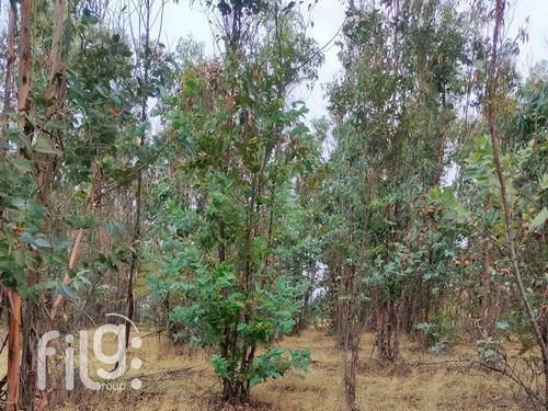 Venta De Terreno En San Nicolás Naturaleza Y Tranquilidad