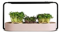Comprar Ingarden Microgreens Growing Kit - Almohadillas Orgánicas