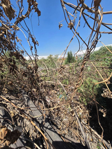 Terreno En Venta Av. José López Portillo