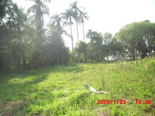 Imagem 11 de 13 de Terreno Próximo A Cidade