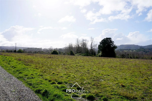 Terreno 5.000 M2 En Venta En Paillaco